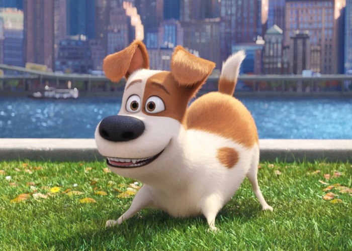 Pets: A Vida Secreta dos Bichos | Cenas de Cinema