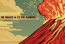 14ª Mostra Ecofalante de Cinema