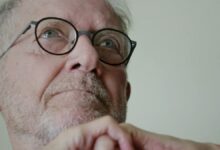 Os Ruminantes