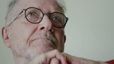 Os Ruminantes