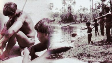 Memória dos Povos Indígenas