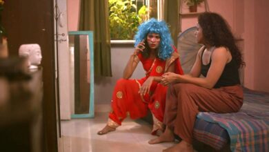 Canções das Árvores Esquecidas