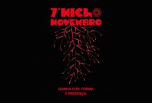 7º Nicho Novembro