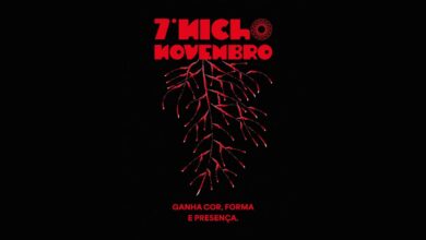 7º Nicho Novembro