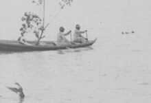 Cinema Retornado: Amazonas – O maior rio do mundo