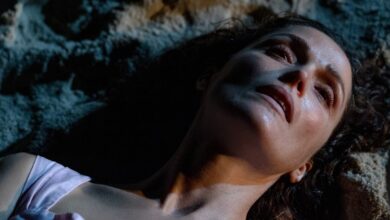 Se Eu Tivesse Pernas, Eu Te Chutaria