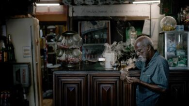 Fernando Coni Campos: Cada um Vive como Sonha